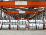 BIẾN ĐỘNG NGÀNH TÔN ĐẦU NĂM 2023